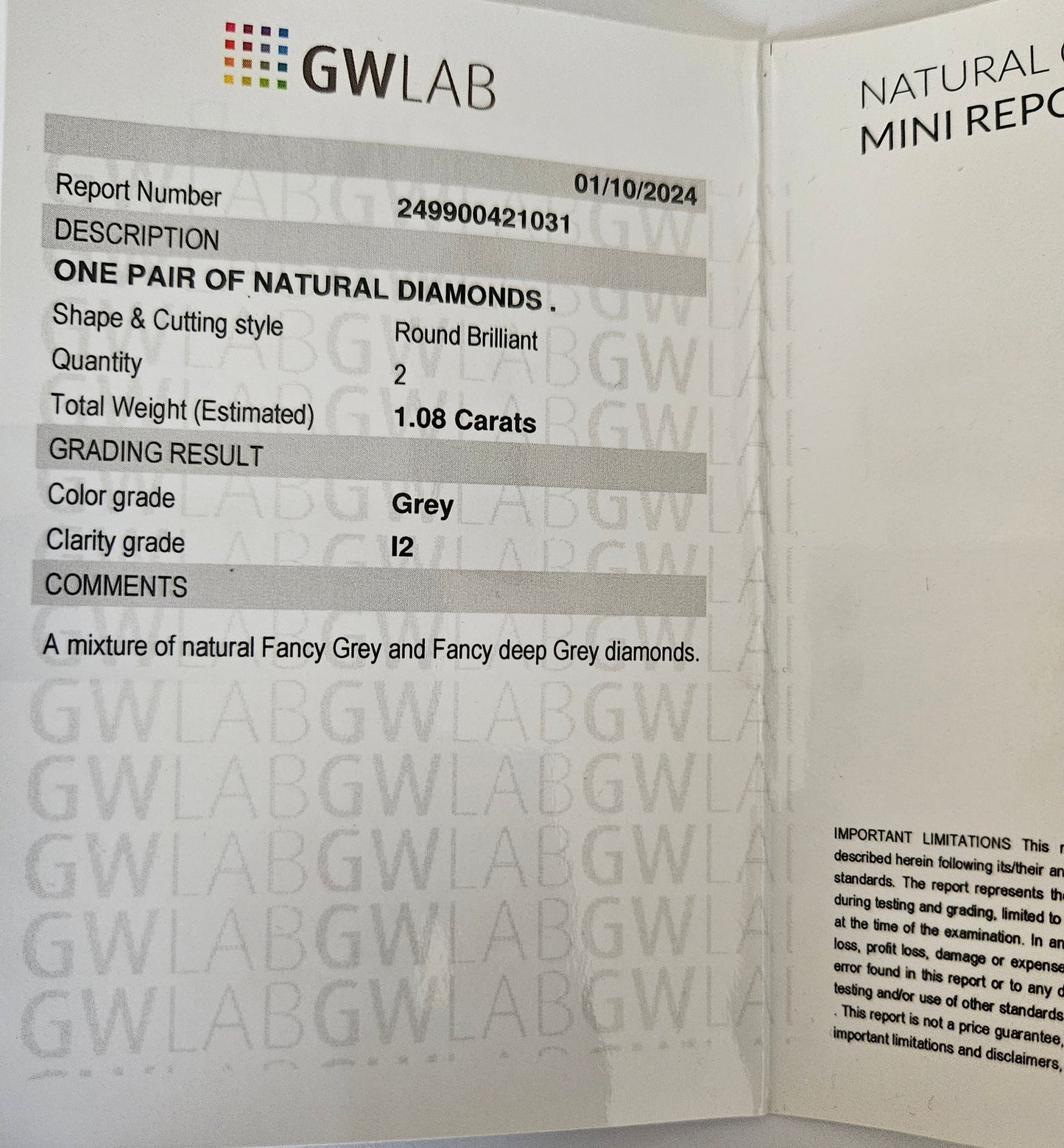 Coppia Diamante naturale certificato 1.080ct