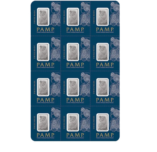 Lingotto platino multigrammo 12x1 grammo